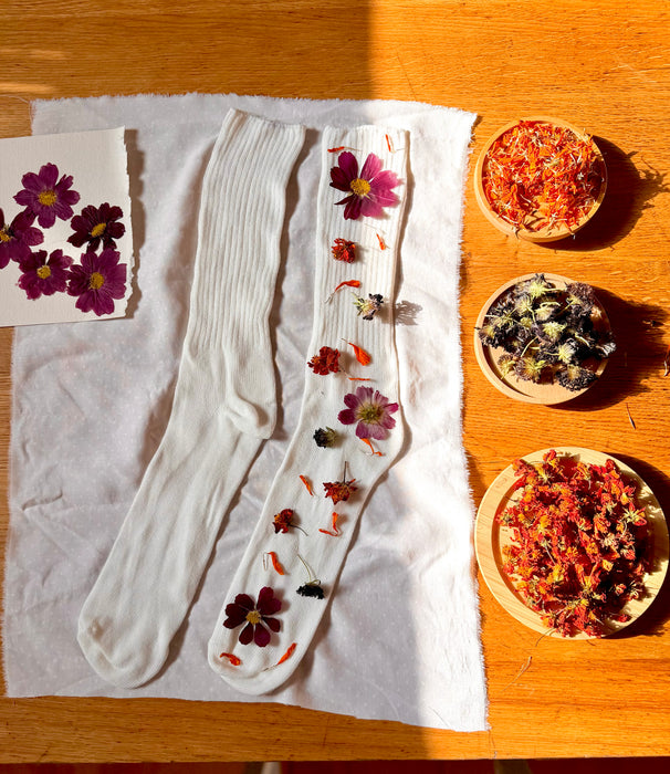 Kit DIY d’impression botanique