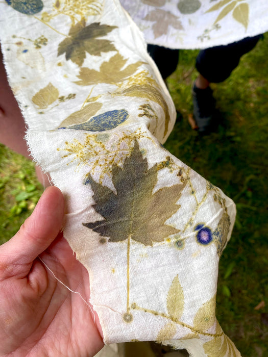 🌸RETRAITE TINCTORIALE🌸 Week-end Immersif en teinture naturelle  19-20 Septembre 2026