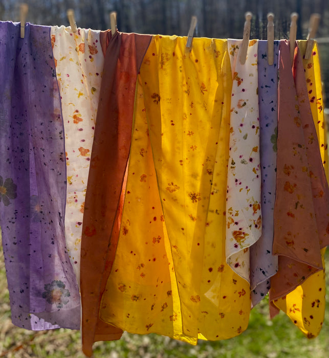 🌸RETRAITE TINCTORIALE🌸      Week-end Immersif en teinture naturelle   6-7 Septembre 2025