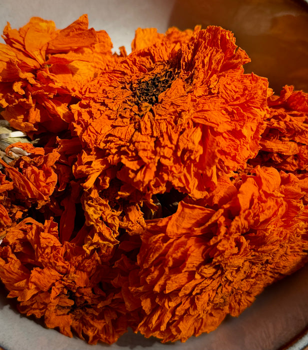 Ensemble de fleurs pour Ecoprint
