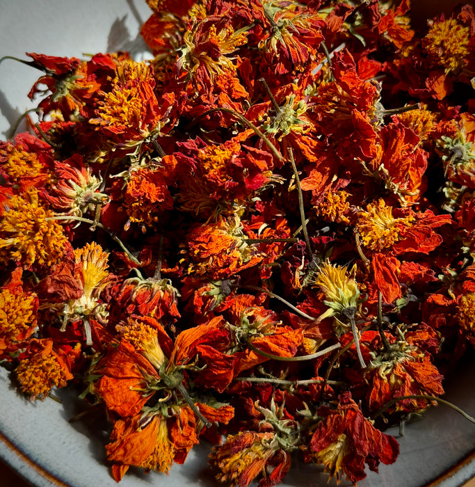 Ensemble de fleurs pour Ecoprint