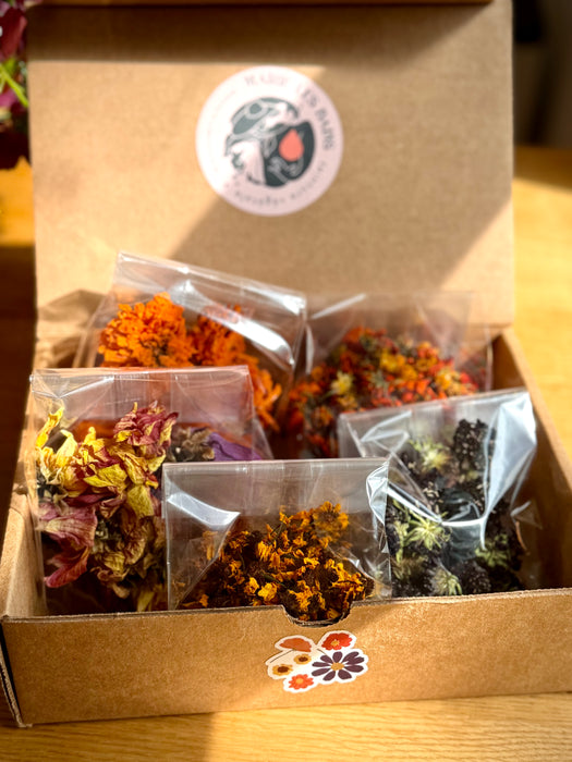 Ensemble de fleurs pour Ecoprint