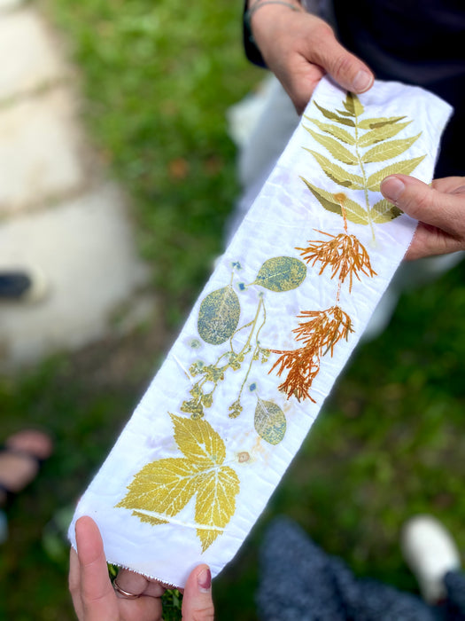🌸RETRAITE TINCTORIALE🌸      Week-end Immersif en teinture naturelle   6-7 Septembre 2025